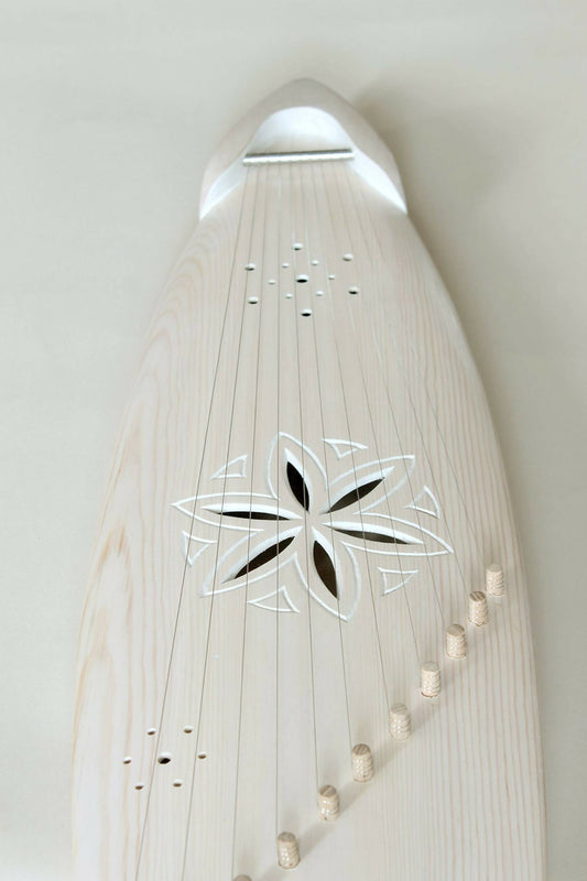 12697289_1214522871909486_28724932616455595_o